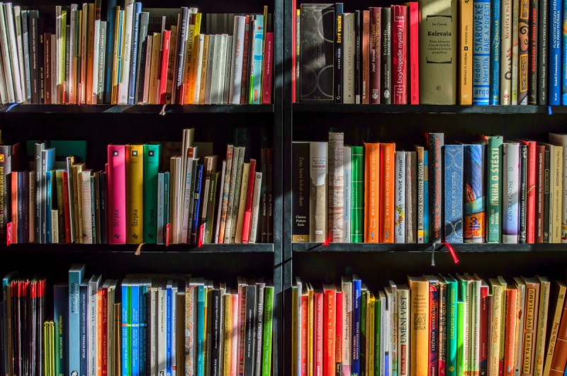 boutique-CASTELLAR-min_books_bookstore_book_reading_shop_writer_sale_books_read-822866